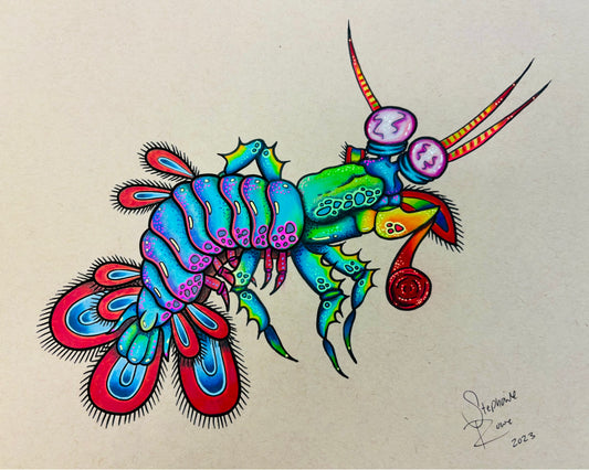 Mantis Shrimp Print